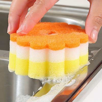 Why you need to change your kitchen sponge weekly ||Study revealed ||
