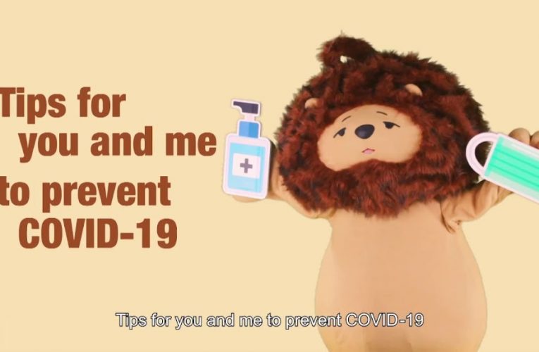 Fundamental measures to stop the spread of Covid-19